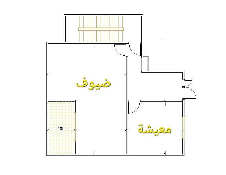 Source Image