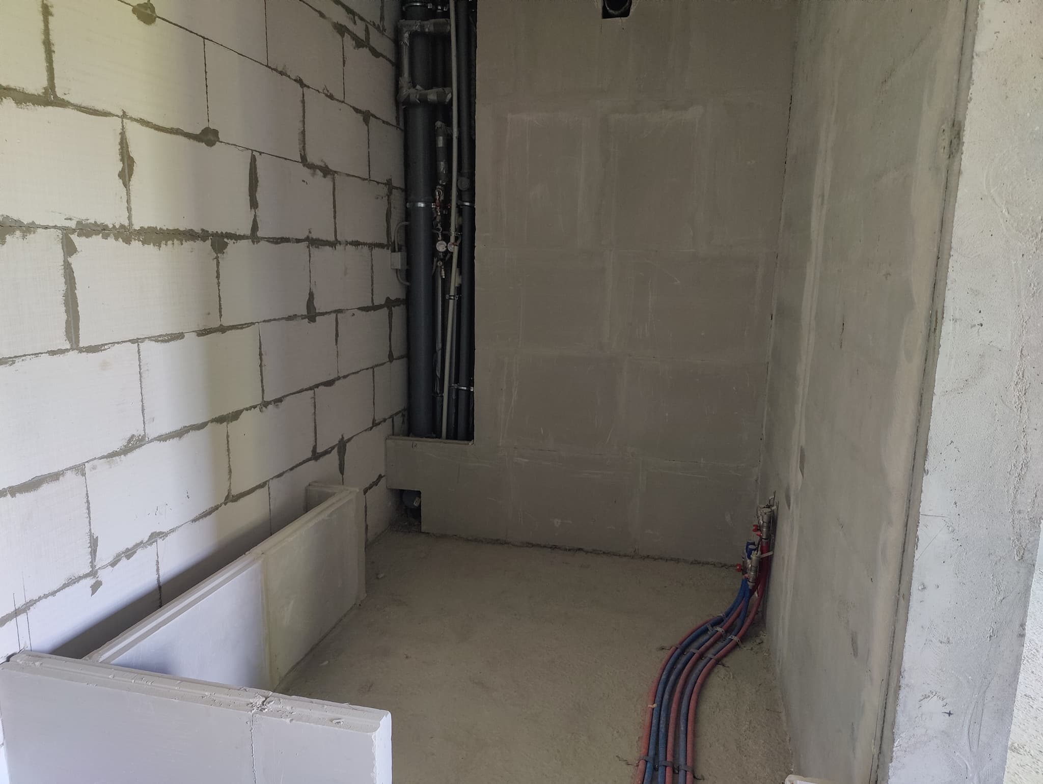 Source Image