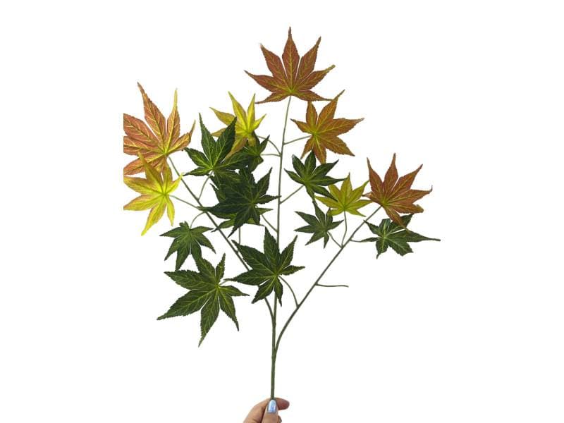 來源圖片